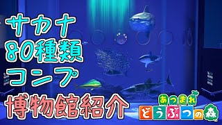 【あつ森】魚全種類をコンプリートしたので博物館紹介します！【あつまれどうぶつの森】 [upl. by Yllut]