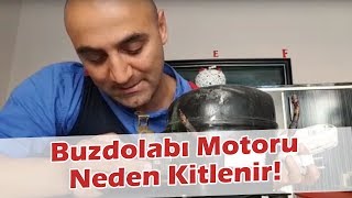 Buzdolabınız Soğutma Yapmıyorsa Bunun Bir Nedeni de Bu Olabilir Buzdolabı Motoru Neden Kitlenir [upl. by Netty565]