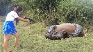 14 STRANGEST Snakes in the World [upl. by Oneg]