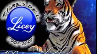 Toño Rosario Licey Acabo con to [upl. by Auqenes223]