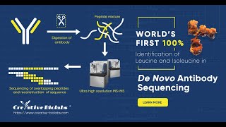 100 Identification of Leucine and Isoleucine in De Novo Antibody Sequencing  Creative Biolabs [upl. by Anaujait]