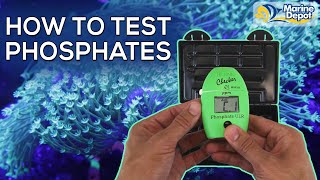 How To Test Phosphates In Your Reef Tank with the Hanna Checker  A simple stepbystep tutorial [upl. by Batsheva]