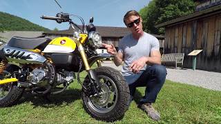 2019 Honda Monkey Review  First Look [upl. by Magill]