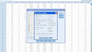 SPSS Tutorials Cross Tabulation [upl. by Dukie885]