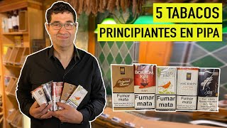 5 TABACOS para EMPEZAR a fumar en PIPA  Principiantes  Cigar Specialist [upl. by Witkin603]