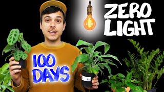 We Tested Houseplants In ZERO LIGHT  The results were shocking [upl. by Rodgiva]