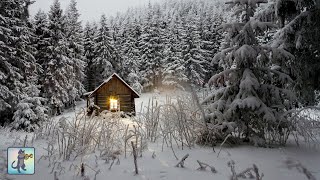 Relaxing Snowfall Woodland Cabin  The Best Relax Music [upl. by Mcwherter688]