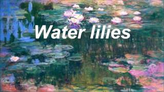 Black Water Lilies  AURORA  Lyrics [upl. by Airemahs]