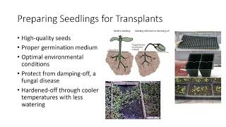 Seed Propagation [upl. by Kevina]