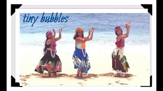 Tiny Bubbles Hawaiian Dance [upl. by Eicyak494]