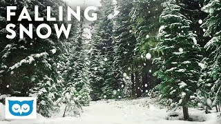 Peaceful Falling Snow  2 Hours HD Relaxing Snowy Forest [upl. by Yeargain]