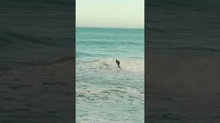 Surfing in Gisborne New Zealand [upl. by Yesrod]