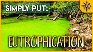 Eutrophication Explained [upl. by Eittam]