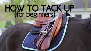 How To Tack Up Your Horse English [upl. by Imit]