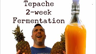 Let’s Make Tepache 2week fermentation with bread yeast [upl. by Thin]