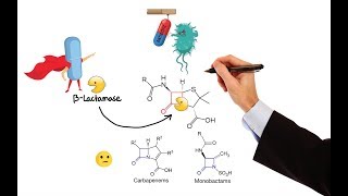 Pharmacology – ANTIBIOTICS – CELL WALL amp MEMBRANE INHIBITORS MADE EASY [upl. by Snapp]