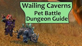 Wailing Caverns Pet Battle Dungeon Complete Guide [upl. by Ellasal657]