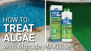 Kill amp Prevent Algae Pool Time® [upl. by Oranneg]