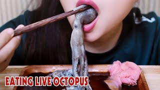 ASMR LIVE octopus challenge exotic food eating sound part 2LINHASMR [upl. by Ilana]