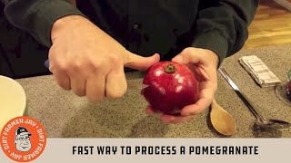 Fast Way to Process a Pomegranate [upl. by Sheeran]