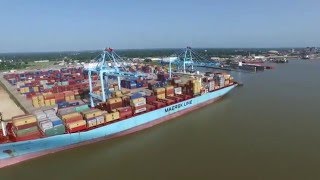 APM Terminals Mobile Overview [upl. by Aphra176]