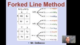 Forked Line Method [upl. by Annaoi]