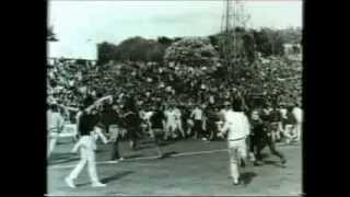 Football Hooligan Documentary [upl. by Nyledaj55]