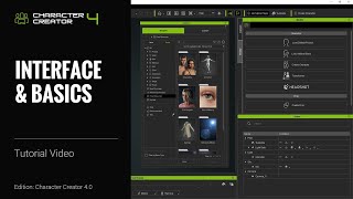 Character Creator 4  Interface amp Basics [upl. by Doubler499]