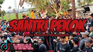 DJ BANTENGAN  PUTRA MANDALA WISANGGENI  SANTRI PEKOK [upl. by Anawik]