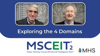 MSCEIT® 2  Exploring the 4 Domains [upl. by Angy]