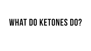 Keto 101  What Do Ketones Do [upl. by Kannan]