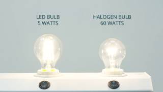 Anylamp  Switch to LED  Lumen to Watt [upl. by Rufford]