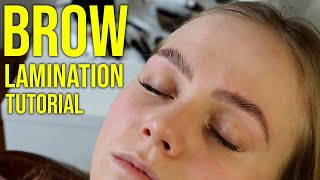 HD Brow Lamination Step By Step Tutorial Big Brows [upl. by Arres404]