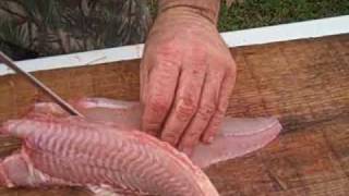 Skinning and Fileting a Catfish [upl. by Burnham]