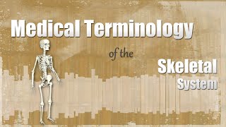 Medical Terminology of the Skeletal System [upl. by Brodench]