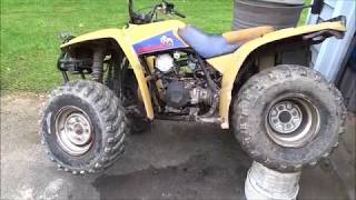 Fixing the Oil Leak Yamaha Timberwolf ATV Project Part 3 [upl. by Fachan671]