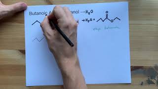 Butanoic Acid  Ethanol  Ester Reaction with Mechanism [upl. by Tarrance137]