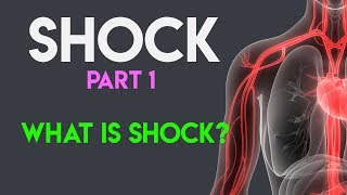 What Is Shock  Shock Pathophysiology  Shock Part 1 [upl. by Netsew]