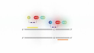 How it Works TaqMan SARSCoV2 Mutation Panel [upl. by Pauiie]