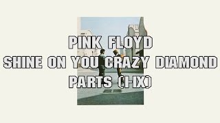 Pink Floyd  Shine On You Crazy Diamond  51 [upl. by Acisej]