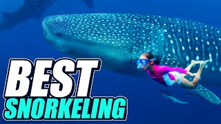 10 BEST SNORKELING DESTINATIONS in the World [upl. by Dalt]