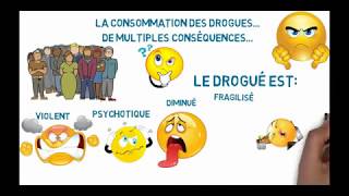 ce quil faut savoir sur la drogue en milieu jeune [upl. by Meingoldas]