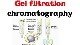 Gel filtration chromatography [upl. by Jamie663]