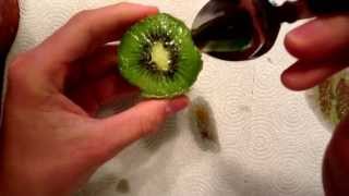 How to properly eat a kiwi fruit [upl. by Yenots]