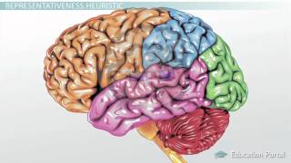 Types of Heuristics Availability Representativeness amp Base [upl. by Aetnahs86]