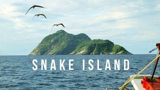 Snake Island  100 Wonders  Atlas Obscura [upl. by Nilsoj]