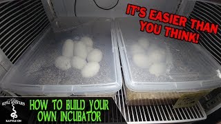 DIY REPTILE EGG INCUBATOR How to build your own [upl. by Walls]