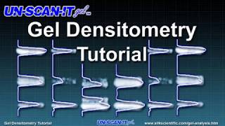 Gel Densitometry Tutorial [upl. by Haniraz]