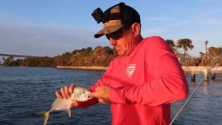 JACK CREVALLE  Catch Clean Cook [upl. by Adnelg59]