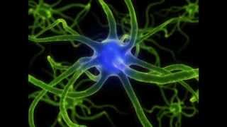 ★ Nerve Regeneration ★ Binaural Beats  Isochronic Tones ASMR [upl. by Animsay653]